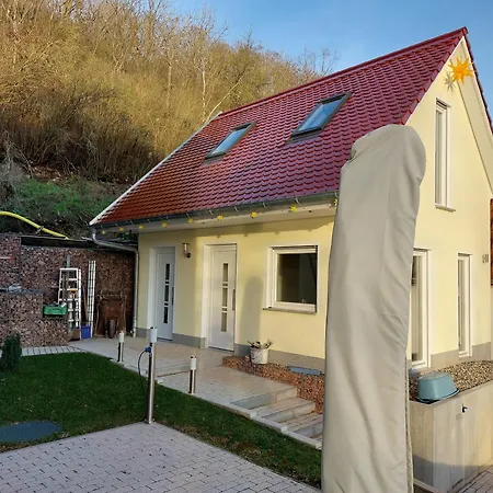 Saaleblick Holiday home