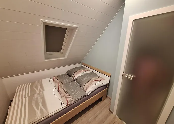 Dom wakacyjny Saaleblick *