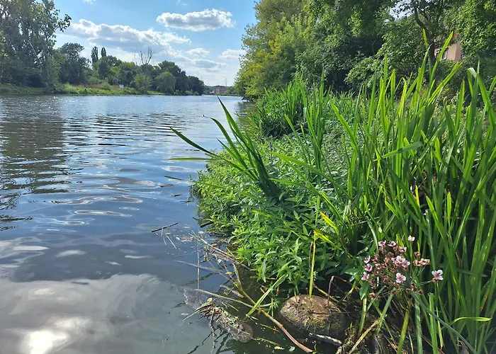 Dom wakacyjny Saaleblick